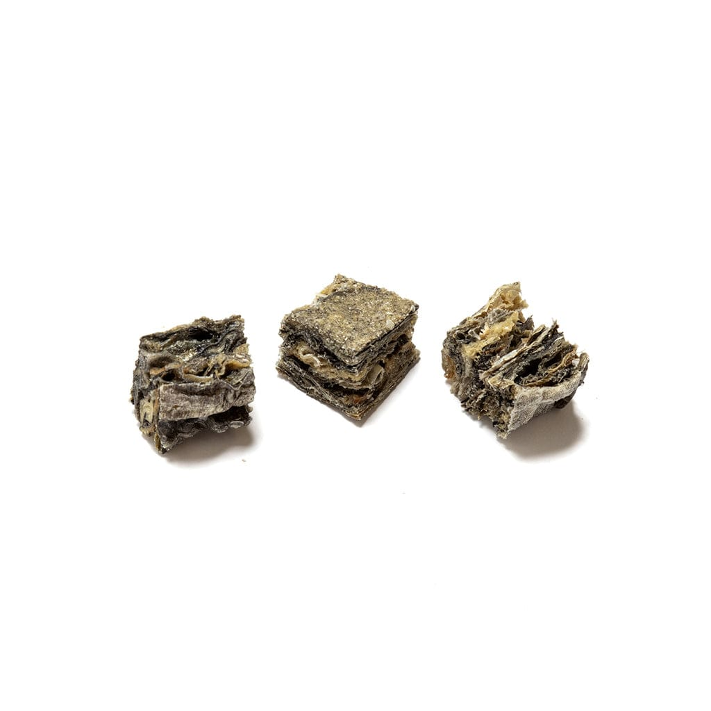 Salmon Cubes